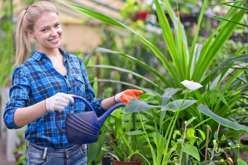 Team member preparing for hedge trimming with equipment