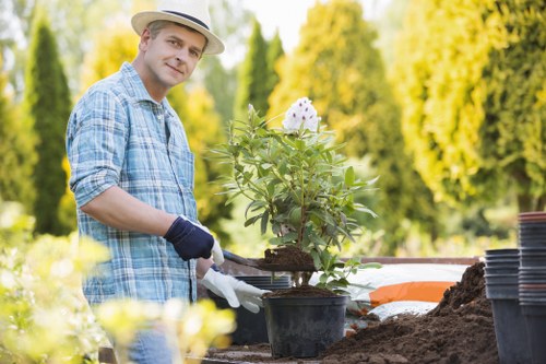 Operative assessing a hedge before trimming